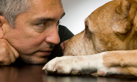 Cesar Millan: "The Dog Whisperer" | The World of Animals ...